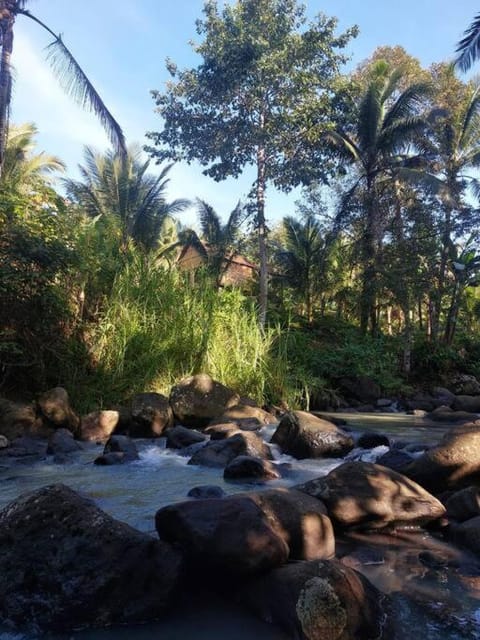 Ecolodge 1BR - JungleHavenBali Chalet in East Selemadeg