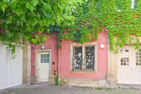 Property building, Garden view