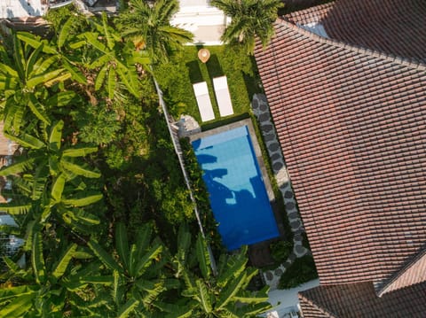 Day, Garden, Garden view, Pool view, Swimming pool