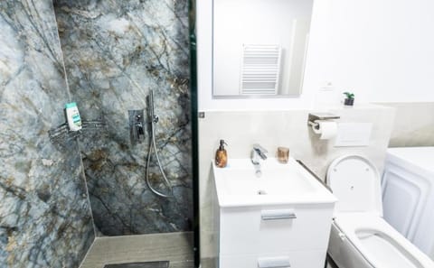 Modern and Central Apartment Apartment in Timisoara