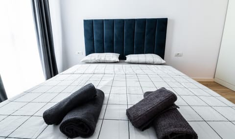 Modern and Central Apartment Apartment in Timisoara