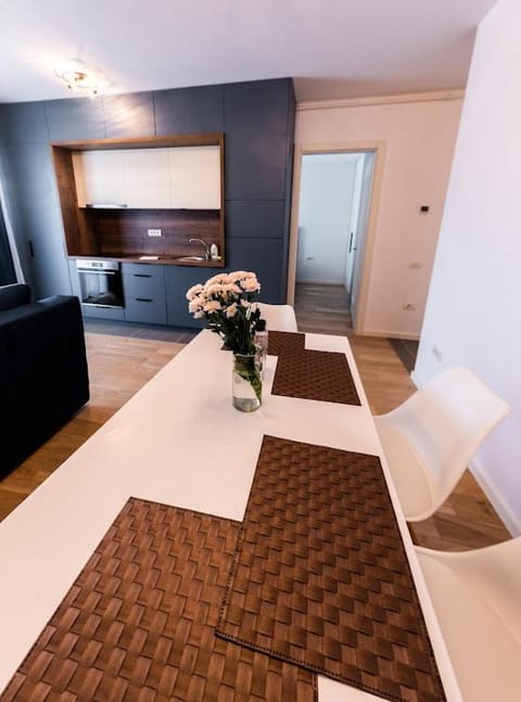 Modern and Central Apartment Apartment in Timisoara