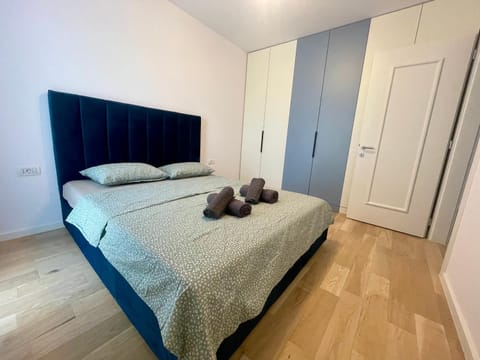 Modern and Central Apartment Apartment in Timisoara