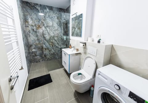 Modern and Central Apartment Apartment in Timisoara