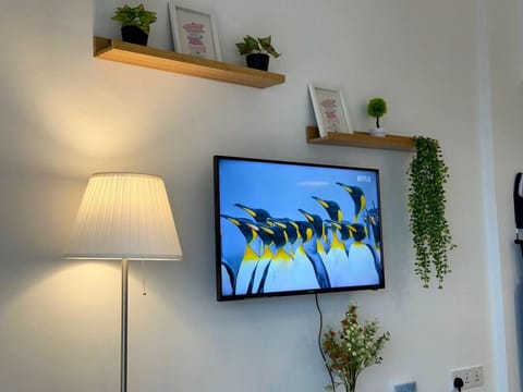 Day, TV and multimedia, Living room, Decorative detail