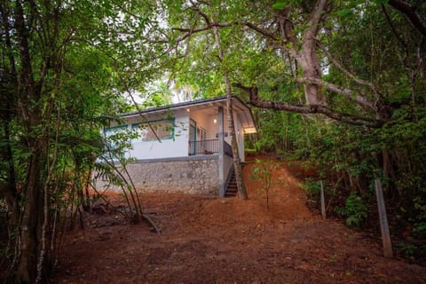 Property building, Natural landscape, Garden view