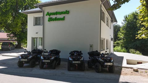 Property building, Day