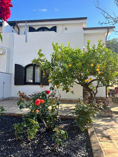 Property building, Garden