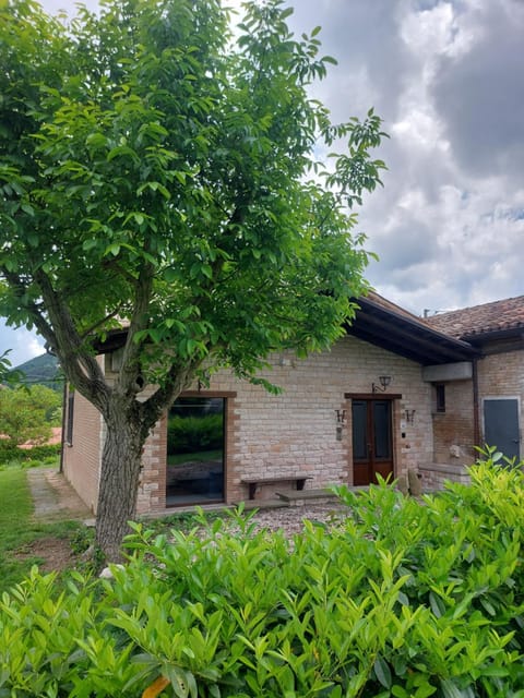Property building, Garden view
