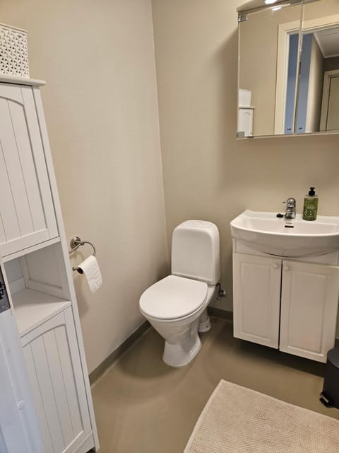 Sentral hybelleilighet i Tromsø Apartment in Tromso