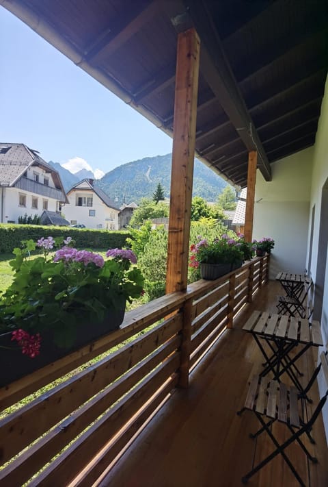 Apartma Žerjav Apartment in Friuli-Venezia Giulia