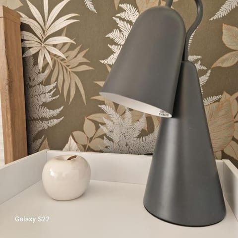 Spacieux T3 lumineux avec balneo à 5min de la gare Apartment in Vosges