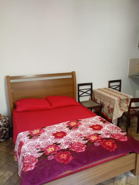 Kitnet Da Cláudia e Geovani Apartment in Miguel Pereira