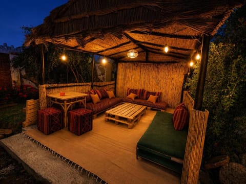 Night, Garden, Garden view