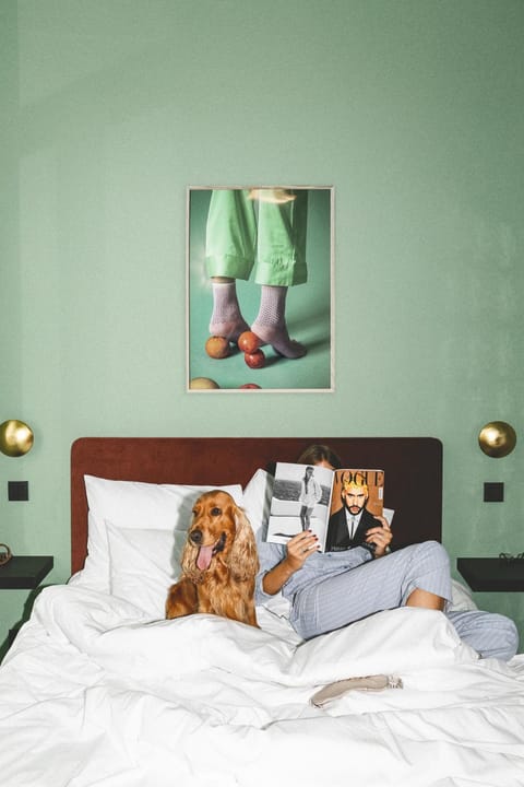 People, Pets, pet friendly