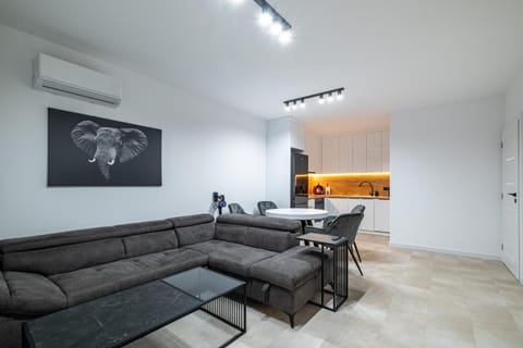 Living room, Photo of the whole room, Seating area, air conditioner