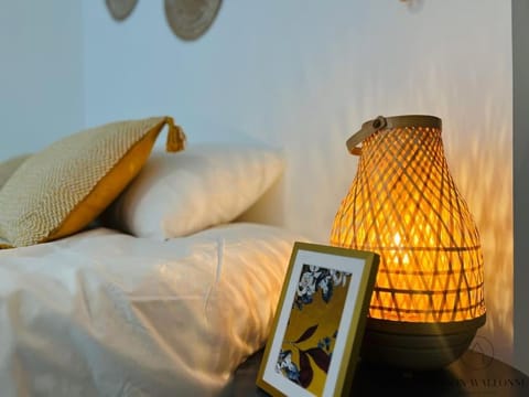 Le Wallon - Cointe Guillemins Botanique Apartment in Liège