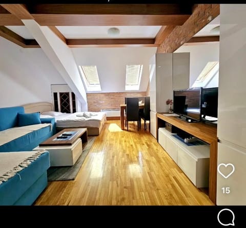 Konak 20 Apartman 24 Apartment in Zlatibor