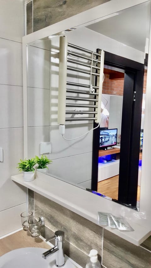 Konak 20 Apartman 24 Apartment in Zlatibor