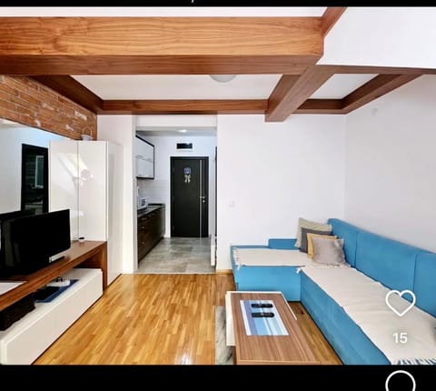 Konak 20 Apartman 24 Apartment in Zlatibor