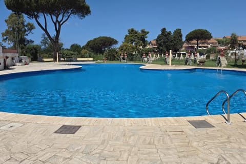 Day, Garden, Swimming pool, sunbed