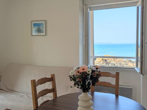 Appart vue mer et sur les falaises-Face au sentier de randonnée Apartment in Brittany