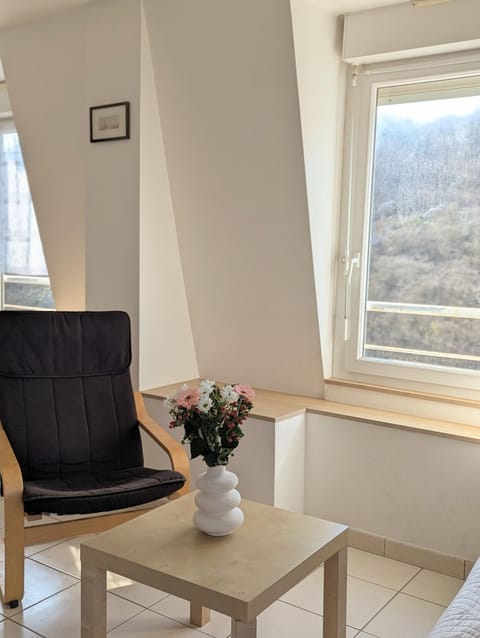 Appart vue mer et sur les falaises-Face au sentier de randonnée Apartment in Brittany