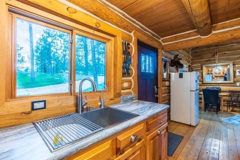 Pine Cabin Cabin in Custer