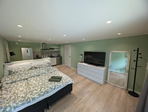 Bed, TV and multimedia, Photo of the whole room, Bedroom