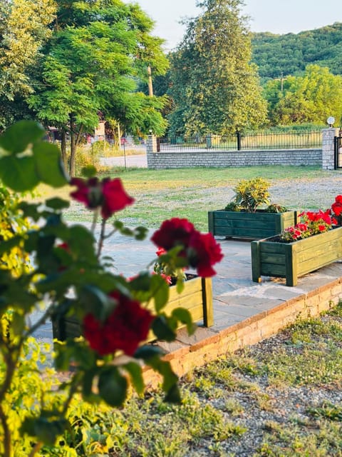 Spring, Day, Natural landscape, Garden, Garden view
