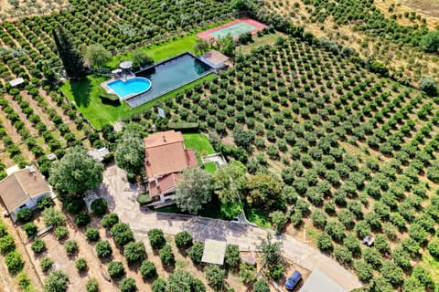Property building, Spring, Day, Natural landscape, Bird's eye view, Garden, Tennis court, Swimming pool