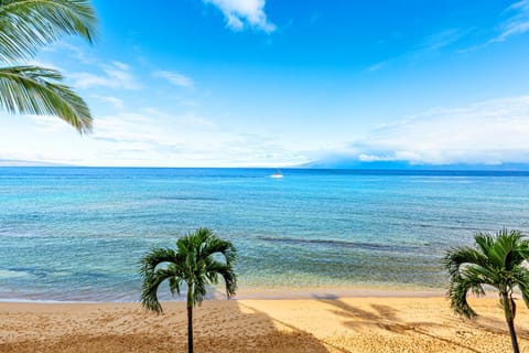 Kaanapali Shores 401 Apartment in Kaanapali