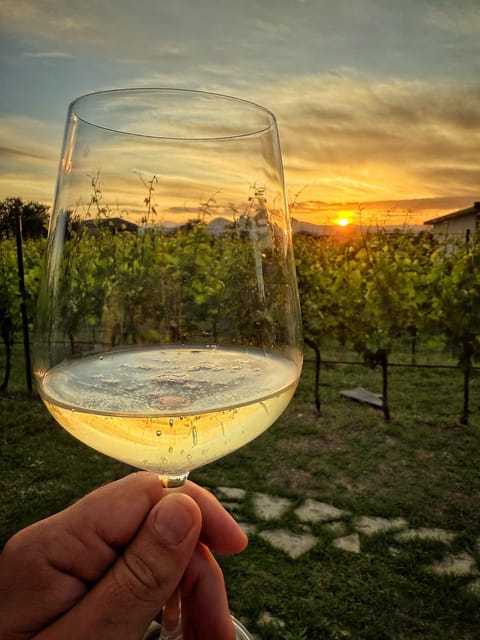 Airport Apartments TRI HRASTA Apartment in Podgorica Municipality, Montenegro