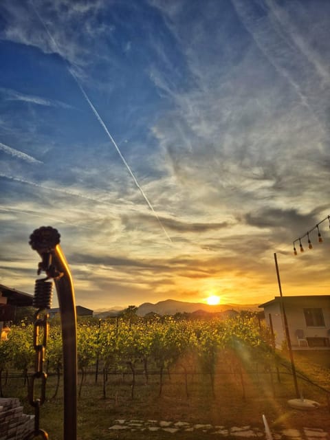 Airport Apartments TRI HRASTA Apartment in Podgorica Municipality, Montenegro