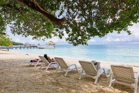 Natural landscape, Beach, Sea view, sunbed