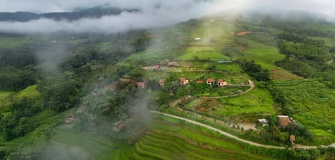 Natural landscape, Bird's eye view
