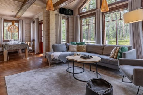 Living room, Photo of the whole room, Seating area