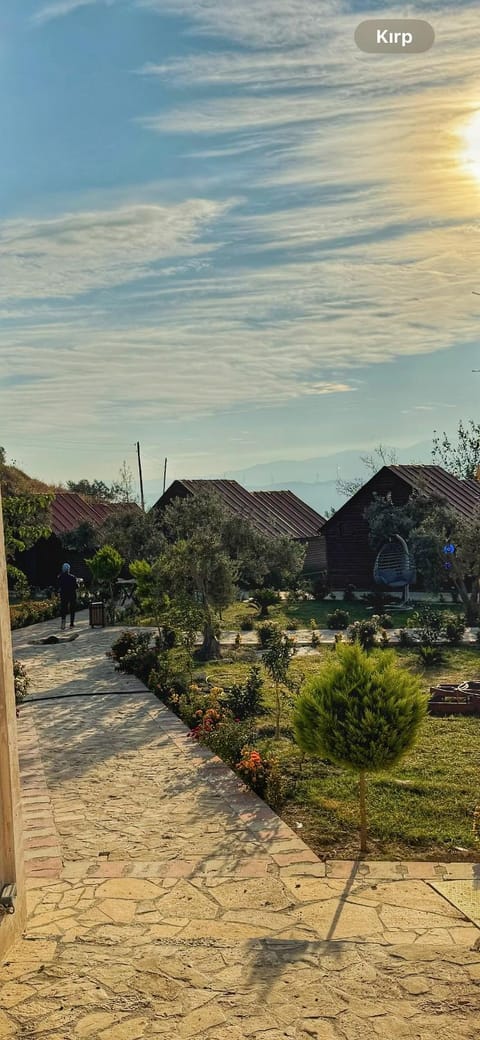 Natural landscape, Garden, Garden view