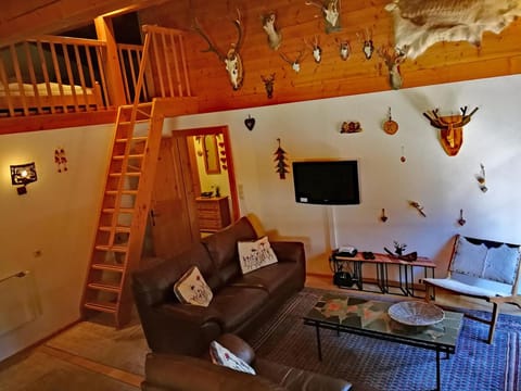 Drieluik OG Apartment in Salzburgerland