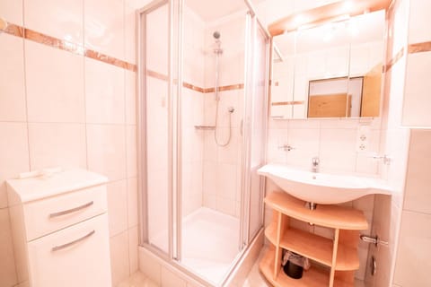 Kreidl Top 31 Apartment in Salzburgerland