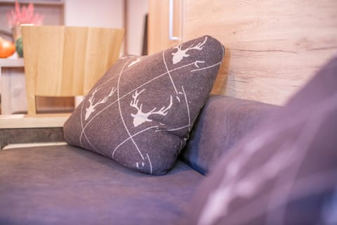 Kreidl Top 9 Apartment in Salzburgerland