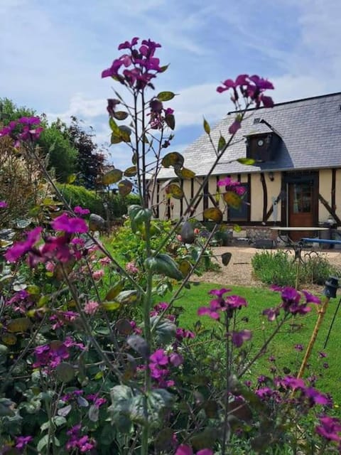 Property building, Garden, Garden view