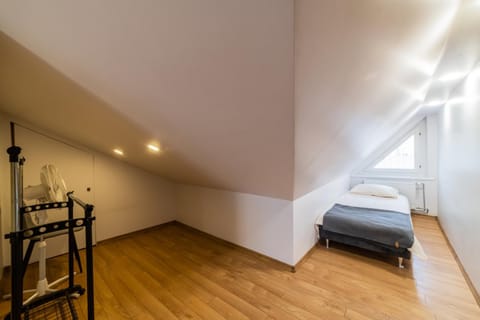 Fox studio mezzanine Apartment in Lithuania