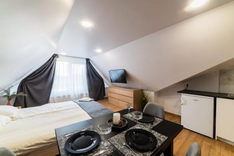 Fox studio mezzanine Apartment in Lithuania