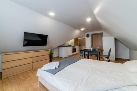 Fox studio mezzanine Apartment in Lithuania