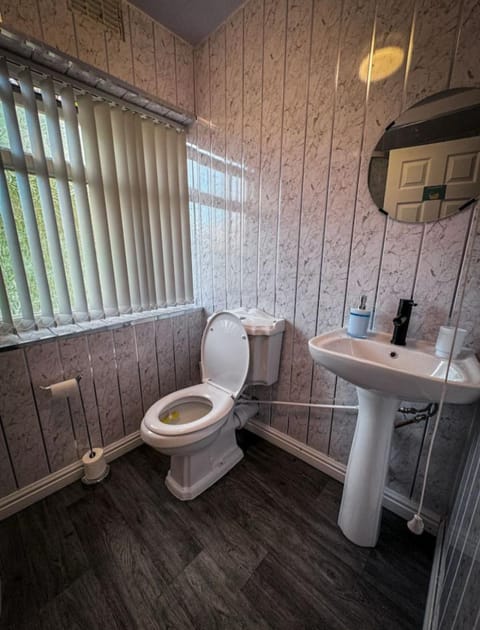 Toilet, Bathroom, bidet