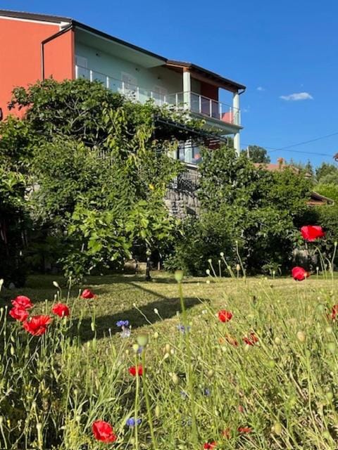 Property building, Garden view