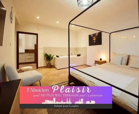 L'Alsacien Plaisir- Balnéo-Wifi-Netflix Apartment in Mulhouse