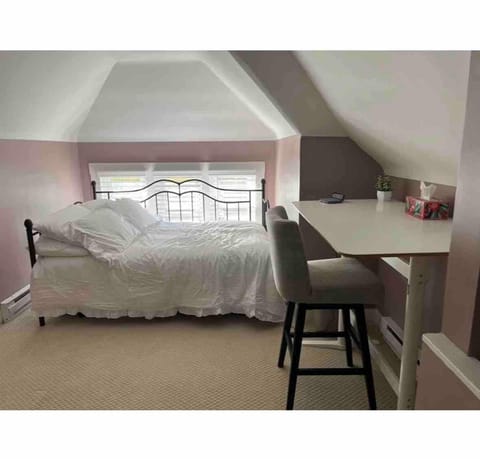 Elevated Entertainment Sleep Suite House in Cleveland Heights