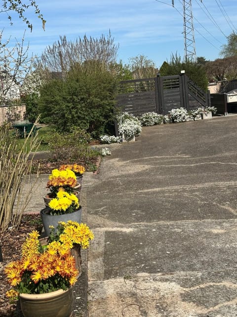 Grand appartement au cœur de la région alsacienne Apartment in Haguenau